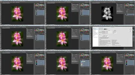 Video2Brain - Photoshop für Designer: Farbe