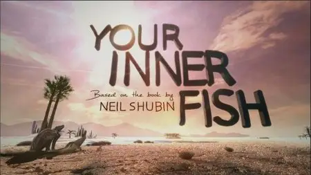 Your Inner Fish: An Evolution Story (2015)
