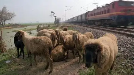 BBC - India's Frontier Railways (2015)
