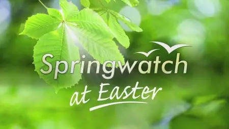 BBC - Springwatch at Easter (2015)