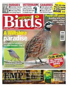 Cage & Aviary Birds – 10 September 2014