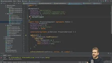 Udemy - Angular - Styling & Animations (for Angular 2 and Angular 4) (2017)