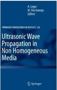 Ultrasonic Wave Propagation in Non Homogeneous Media [Repost]