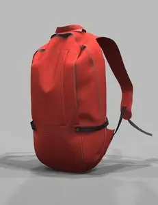 Dynamic BackPack