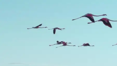 A World of Calm S01E03
