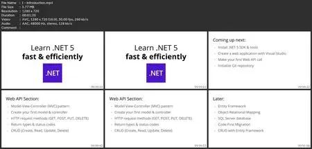 .Net 5 Web Api & Entity Framework Crash Course