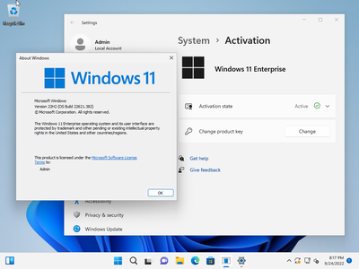 Windows 11 Enterprise 22H2 Build 22621.382 (No TPM Required) Preactivated Multilingual