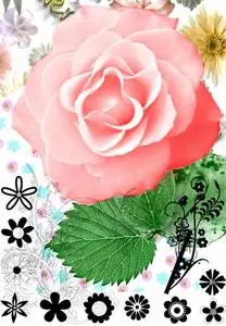 Flowers & Roses Photoshop Brushes Set
