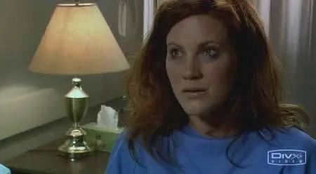 Framed For Murder (2007)DVDRip