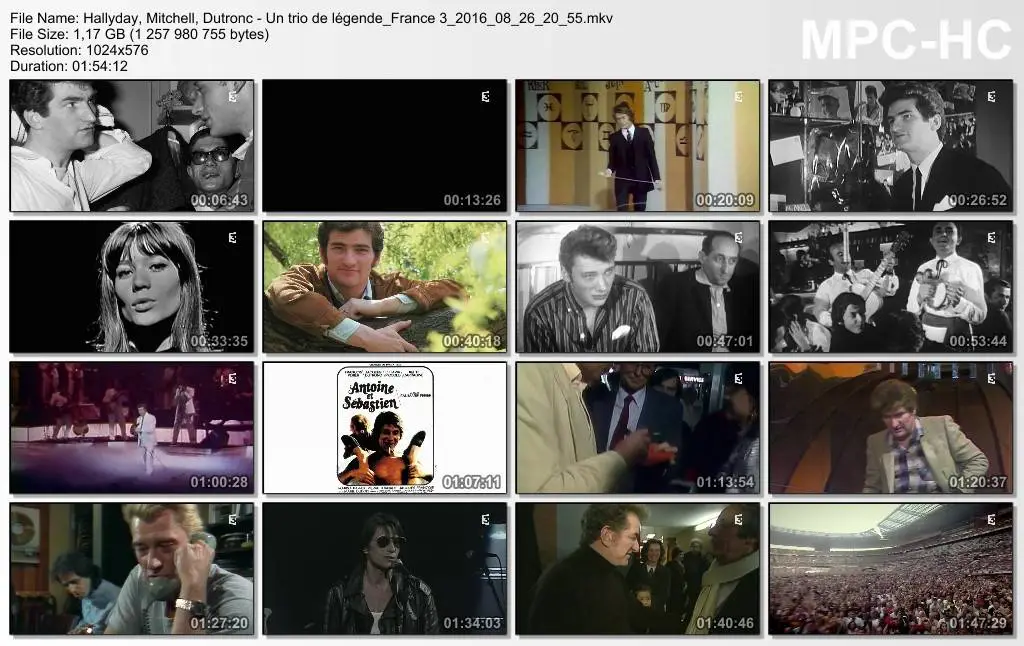 (Fr3) Hallyday, Mitchell, Dutronc - Un trio de légende (2016)