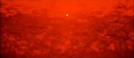 Zhang Yimou-Hong gao liang ('Red Sorghum') (1987)