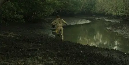 Canopy (2013)