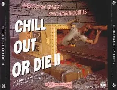 V.A. - Chill Out Or Die Vol.1-5 (1993-1995)