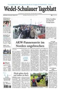 Wedel-Schulauer Tageblatt - 08. Juli 2019