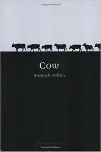 Cow (Animal) (Repost)