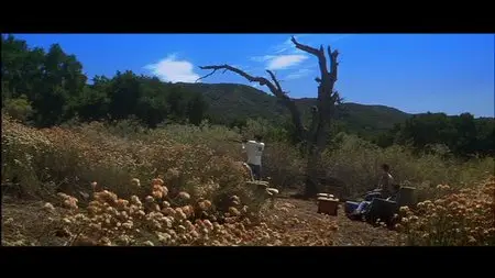 Donnie Darko (2001) [Director's Cut]