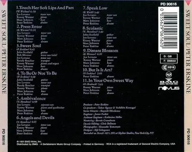 Peter Erskine - Sweet Soul (1991)