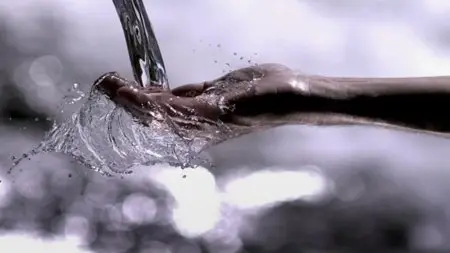 BBC - Dissected (2014)