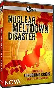 PBS Nova - Nuclear Meltdown Disaster (2015)