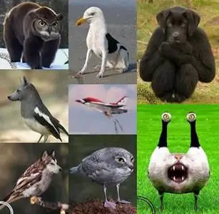 My Human D. Selection