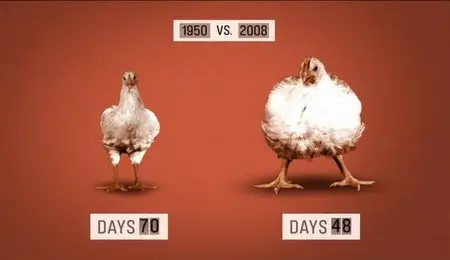 Participant Media - Food, Inc (2010)