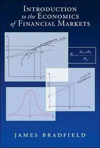 Introduction to the Economics of Financial Markets (Repost)