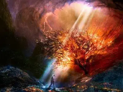Wallpapers Mania - 49