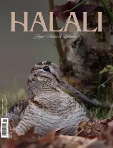 Halali - Februar-März-April 2025