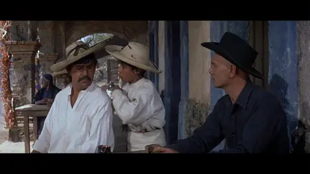 The Magnificent Seven (1960)