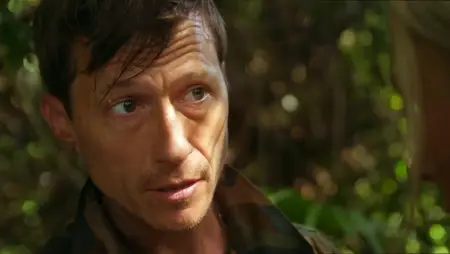 Dragon Wasps (2012)