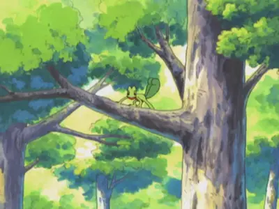 Pokemon 0279 06x19 Advanced 007 Tree's a Crowd mp4