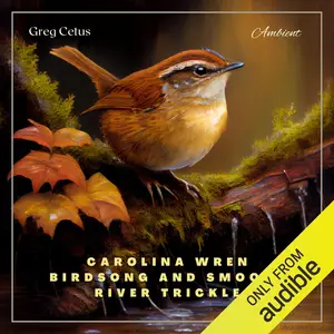 Carolina Wren Birdsong and Smooth River Trickle: A Soundscape for Relaxation and Meditation