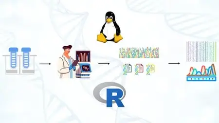 Learn Ngs Variant Calling: A Hands-On Bioinformatics Course