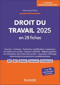 Véronique Roy, "Droit du travail 2025 en 28 fiches"