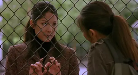 Saving Face (2004)