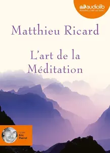 Matthieu Ricard, "L'art de la méditation : Pourquoi méditer ? Sur quoi ? Comment ?"