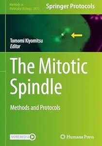 The Mitotic Spindle