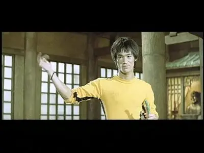 Bruce Lee Ultimate Fully Re-Mastered DVD Collection (1971-1981)