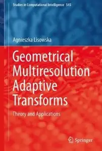Geometrical Multiresolution Adaptive Transforms: Theory and Applications [Repost]