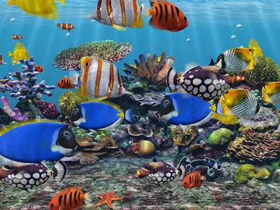 3D Fish School Screensaver 4.7