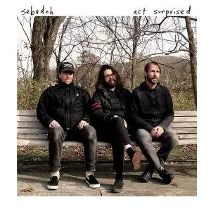 Sebadoh - Act Surprised (2019) [Official Digital Download 24/96]