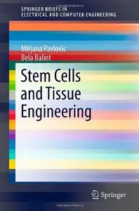 Stem Cells and Tissue Engineering