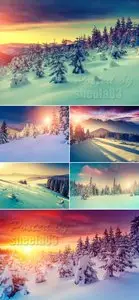 Stock Photo - Winter Nature 3