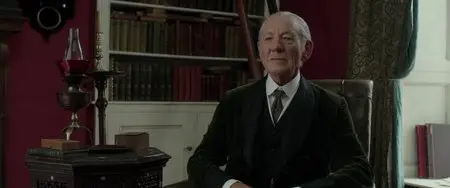 Mr. Holmes (2015)