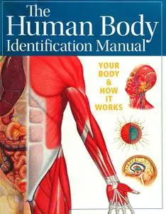 Human Body Identification Manual: Your body and how it works