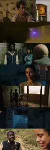 Trash (2014)