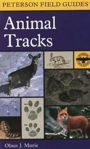 Field Guide to Animal Tracks (Peterson Field Guides)