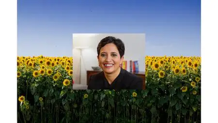 Post-Seed And Pre-Series A Vcs On Startups W Sramana Mitra