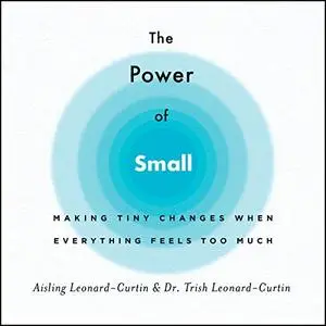 The Power of Small: Making Tiny but Powerful Changes When Life Feels Too Much [Audiboook]