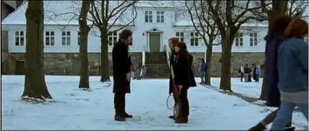 The Man Who Loved Yngve (2008)